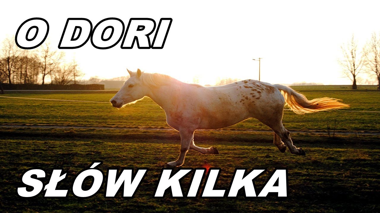 Metryczka Dori