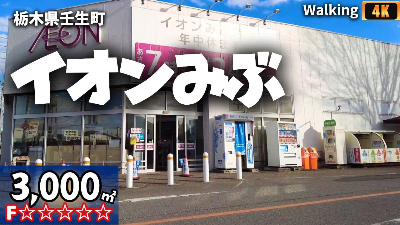 イオンみぶ ここより小さいイオンはあるのか 栃木県壬生町 ショッピングセンター ウォーキング