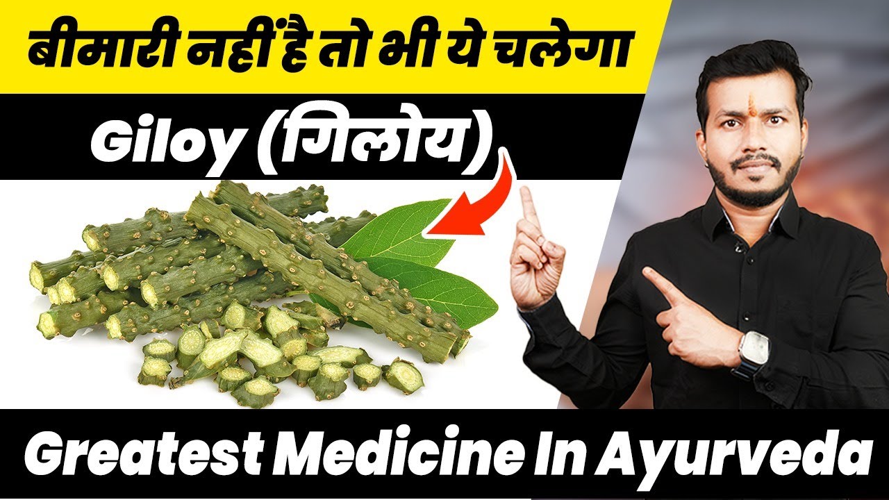 334:Giloy(गिलोय) Greatest Medicine In Ayurveda ||Vata_pitta_kapha Sabki 1 dawa:अमृत है अमृता