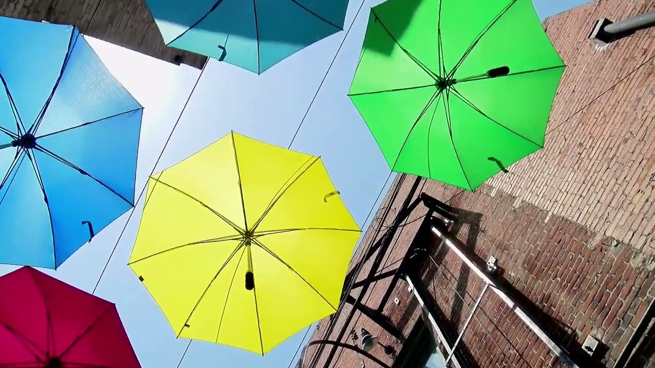 Orange Steet Alley ("Umbrella Alley")