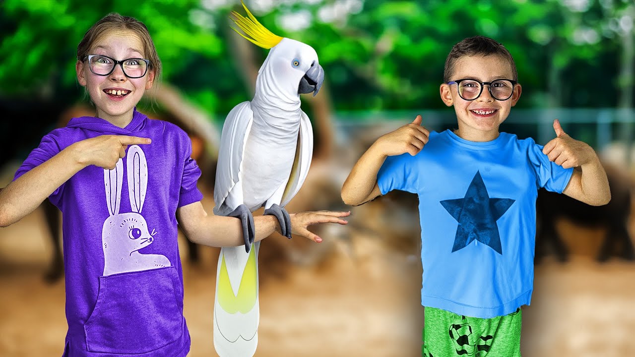 Влог Англикосик в Испании Ангелина и Роберт и Дарина (Дельфины, Попугай и Поезд) #2