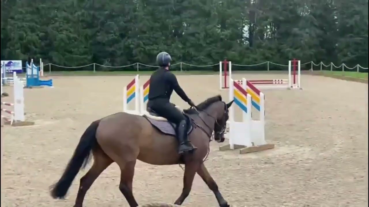 Bicton Arena Showjumping 17.02.22