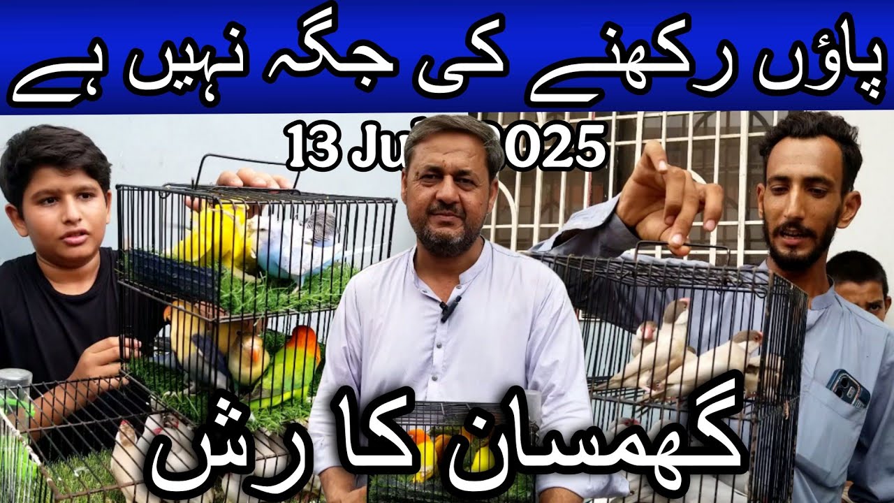 Lalukhet  birds market part 2 13 July 2025 | Cheapest price birds market in Karachi Pakistan