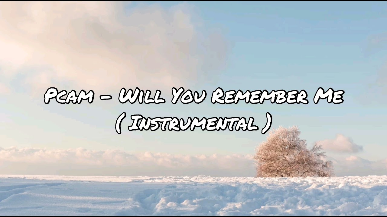 Pcam - Will You Remember Me (Instrumental)
