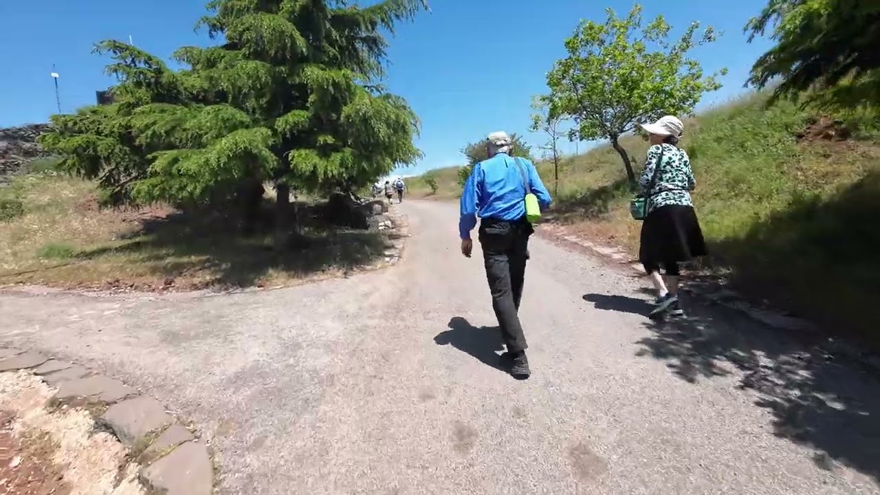 בנטל רמת הגולן אלי גדיאל