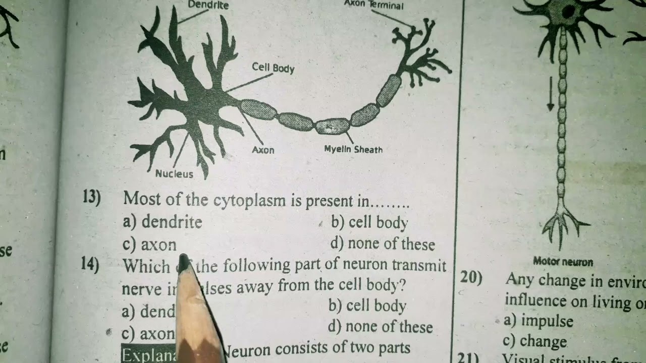 General Science Grade 8th MCQs||Everyday Science ||U#2(Human nervous System)MCQs for ETEA KP SST||02