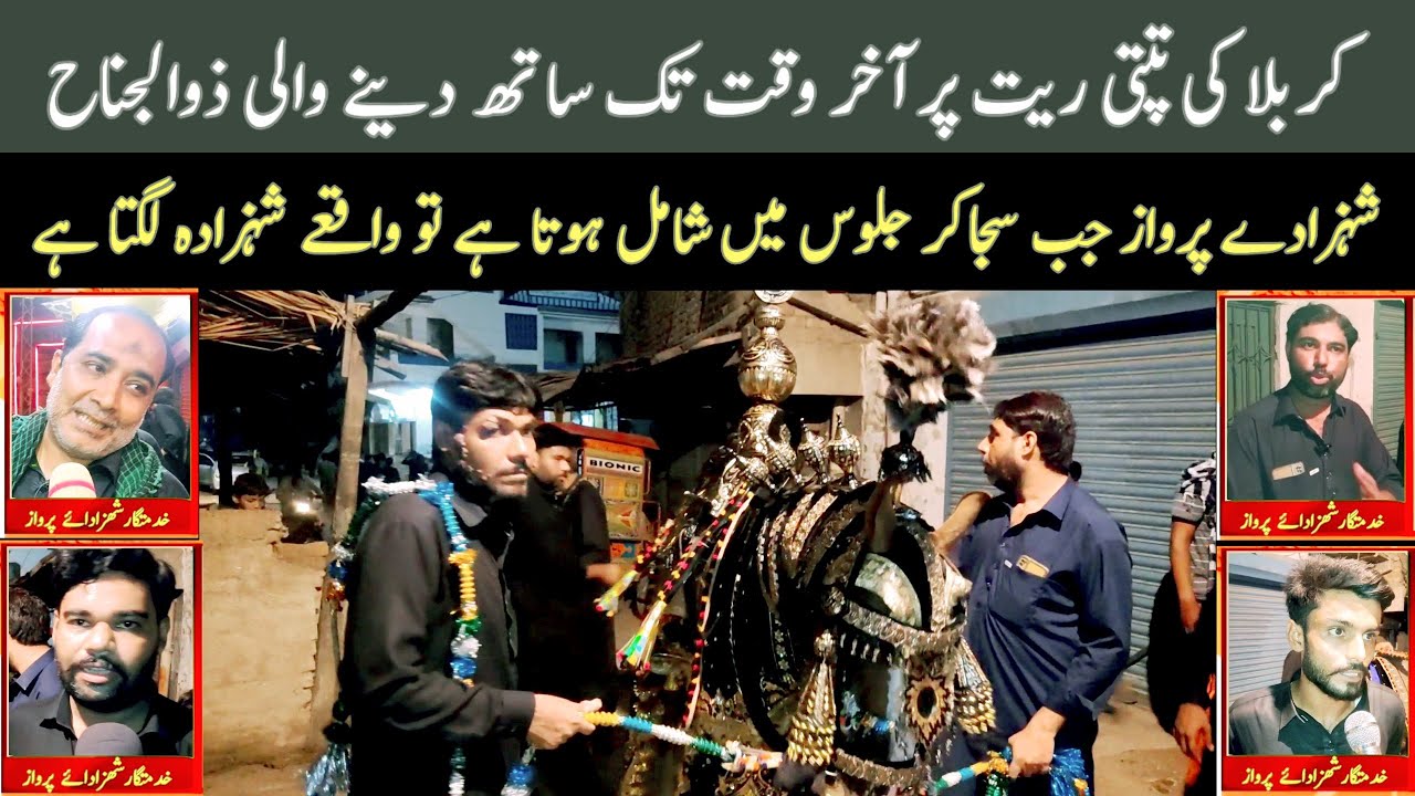 Drawing Zuljanah: Honoring the Companion of Tandoallahyar Karbala for Eternity #AzOfficalSindh