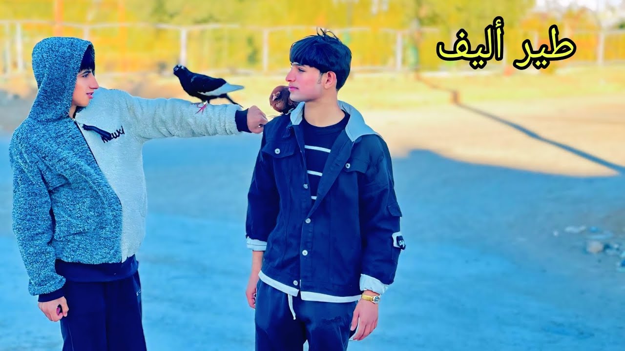 فلم قصير. صديق الطير الأحمر