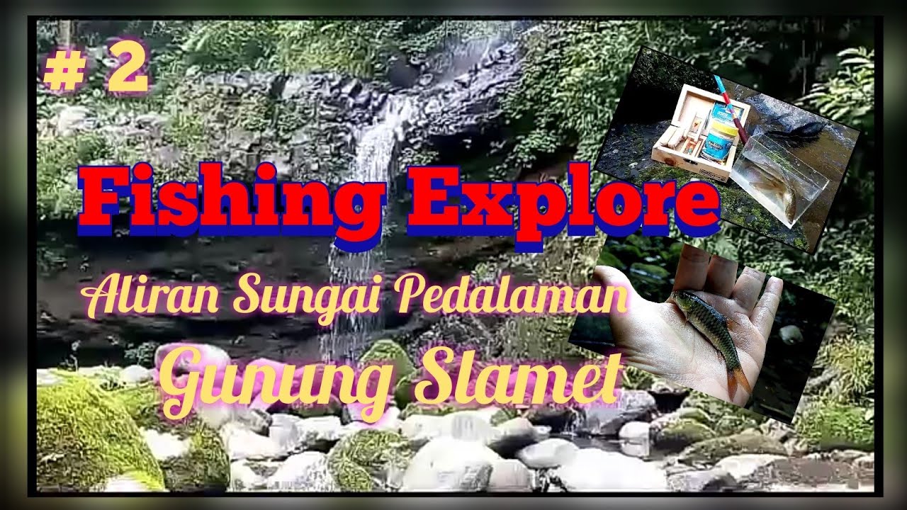 Fishing Explore Aliran Sungai Gunung Slamet Part # 2 || Sembari Jajal Velocity Paray  ||