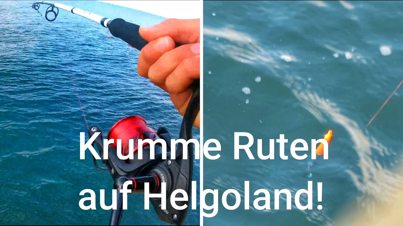 Makrelen-Alarm auf HELGOLAND|Part 2