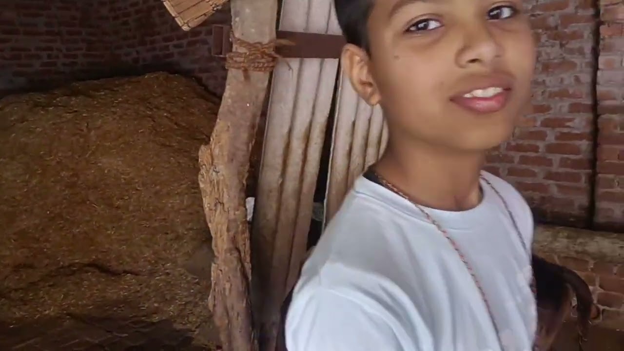 थोड़ी सी तबीयत ठीक होते ही फिर से लग गई अपने काम में 😊😊