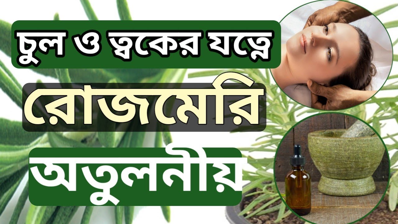 রোজমেরি গাছের উপকারিতা জানলে চমকে যাবেন // Rosemary Benefits
