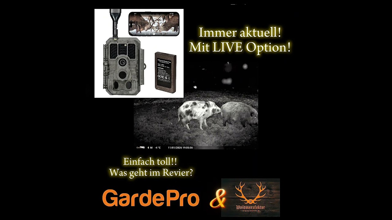 GardePro Video - Kameras im Einsatz  