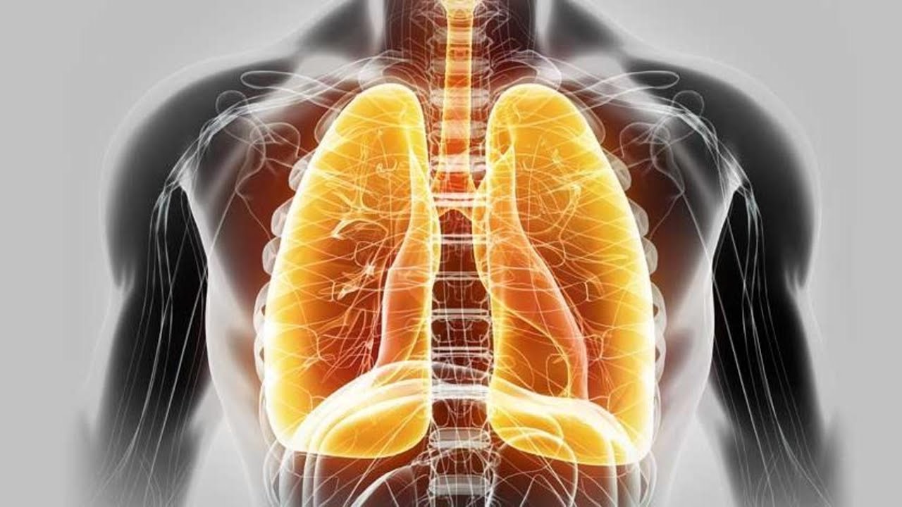 THE LUNGS (FEI) IN CHINESE MEDICINE QUIZ