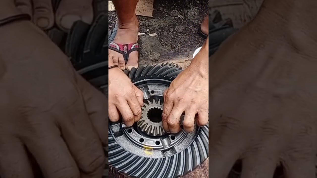 spider gear 