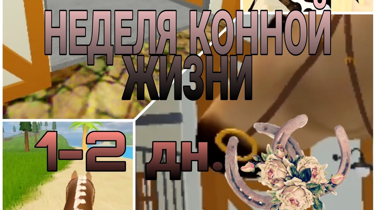 НЕДЕЛЯ МОЕЙ КОННОЙ ЖИЗНИ! [1-2 день] 1 часть.