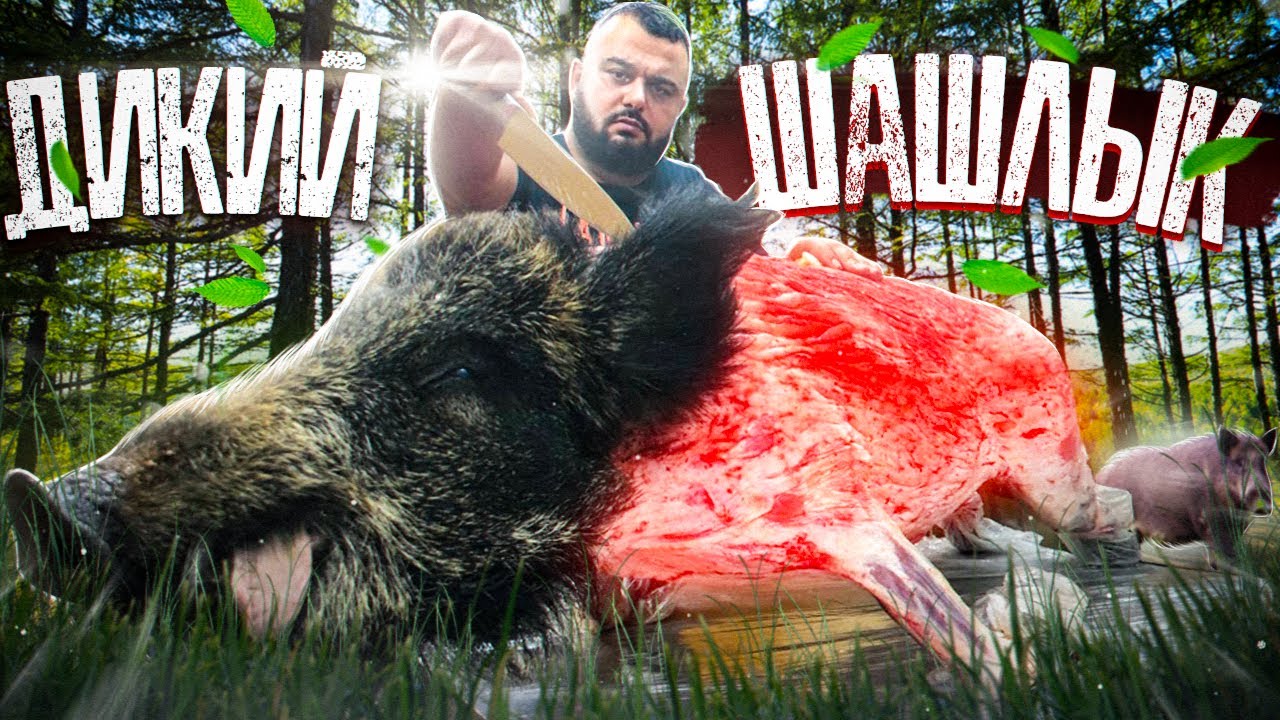 ДИКИЙ ШАШЛЫК❗❗❗ КАБАН - МАНГАЛ!