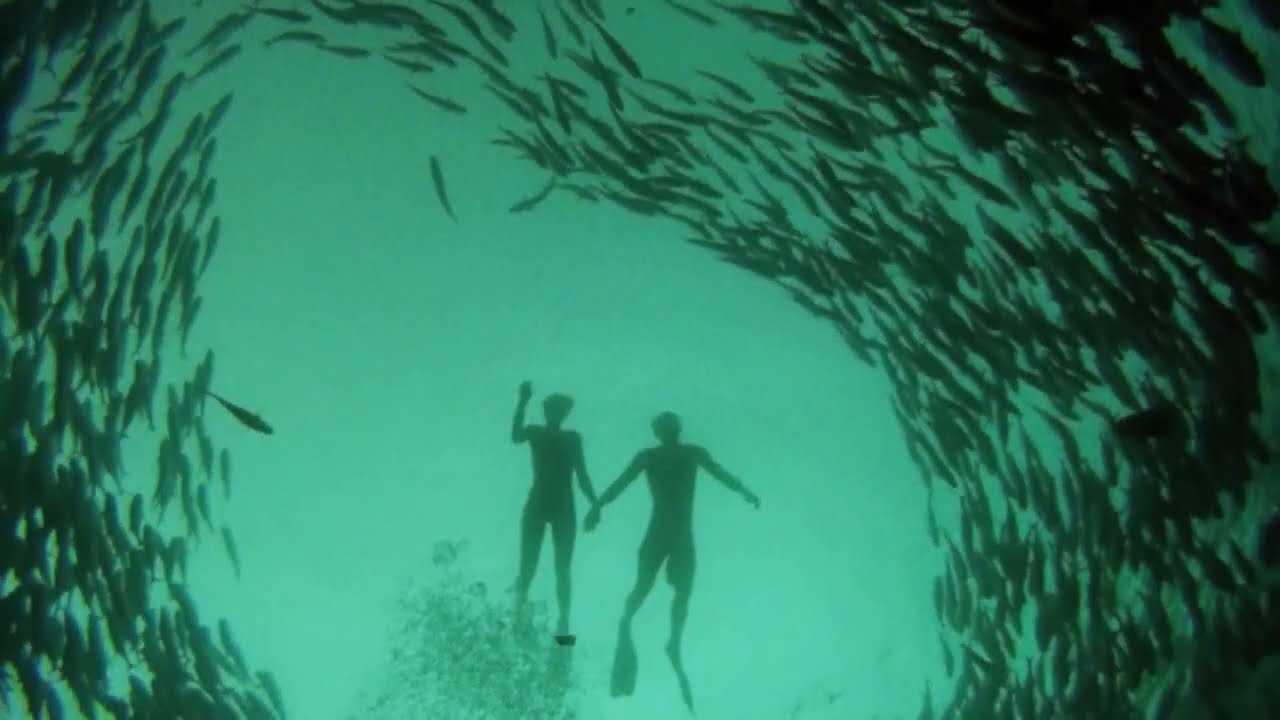 Hello Meteor TV: S01 E03 - Float