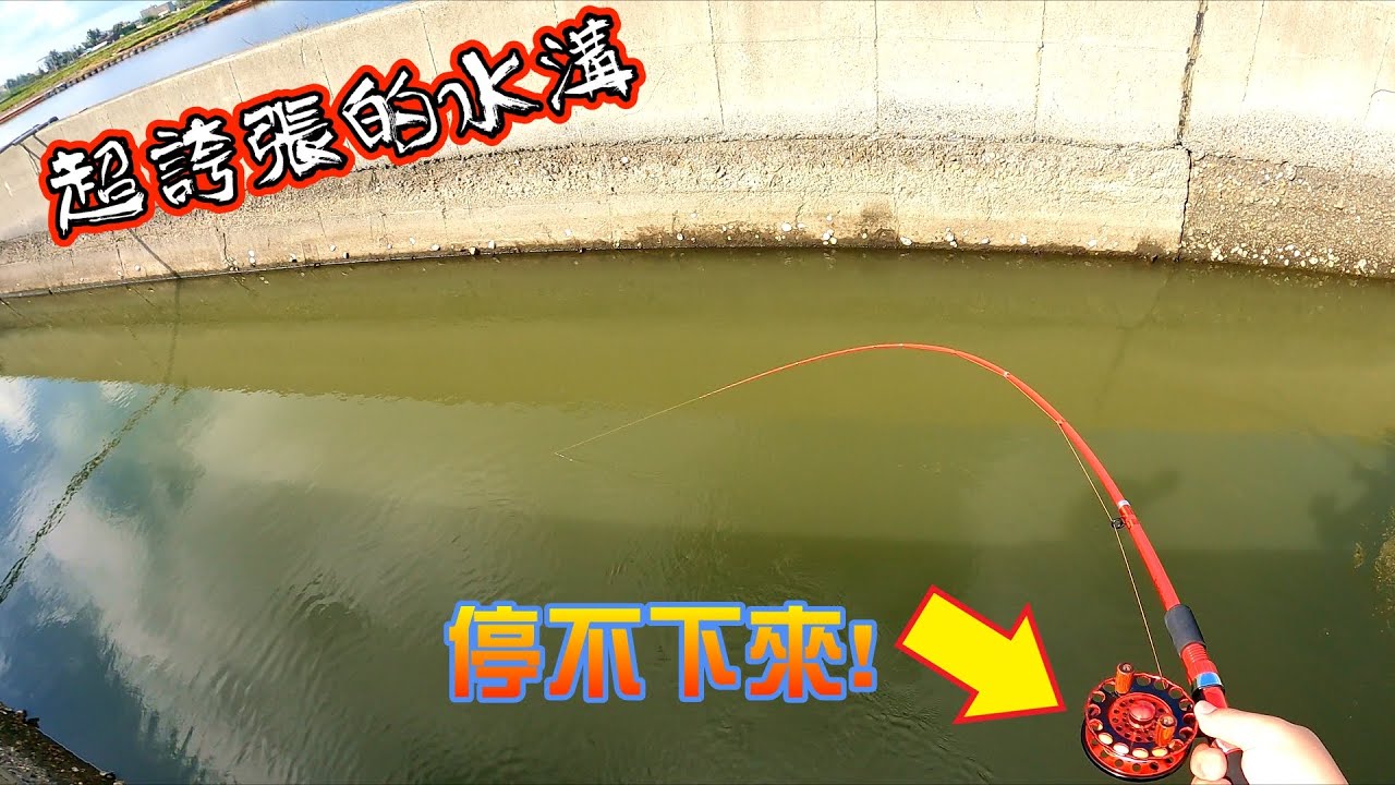 回到老地方釣魚竟被修理到不敢下竿！！！使用前打輪的你,請考慮一下手指頭的安危！！