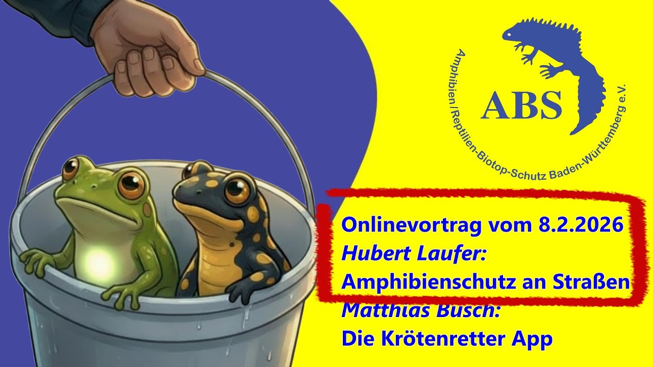 ABS Online Vortrag 08.02.2026 Amphibienschutz an Straßen  Referent: Hubert Laufer