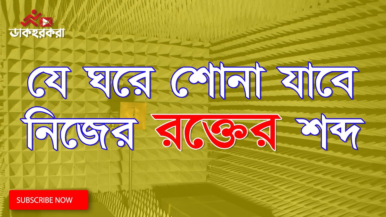 পৃথিবীর সবচেয়ে নিরবতম স্থান । Quietest Place In The World । Dakhorkora । ডাকহরকরা