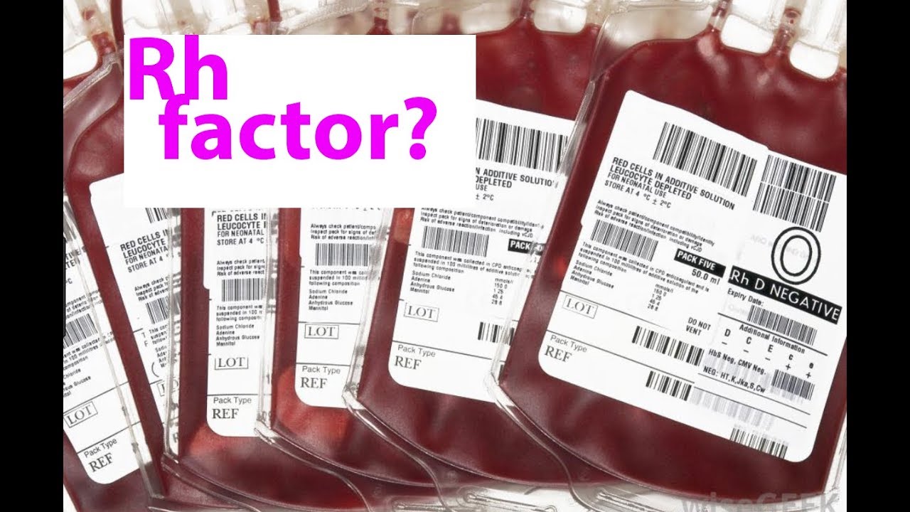 Pregnancy and Rh Negative Blood Type.