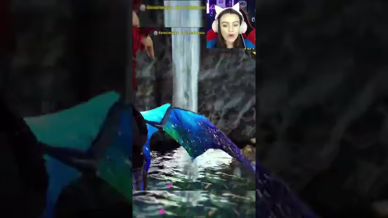 MITEI NO ARK SURVIVAL EVOLVED!🤩😎