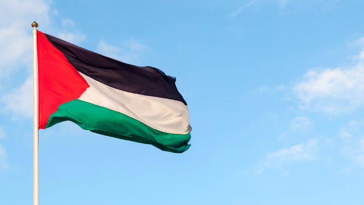 Council in Melbourne may remove Palestinian flag to replace with peace flag