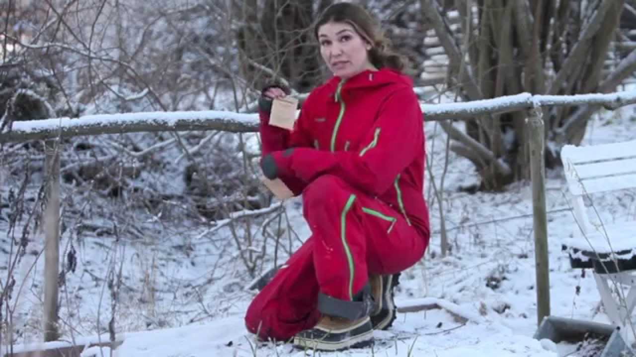 Vinters&aring;dd . S&aring; i sn&ouml; - allt det h&auml;r kan du s&aring; n&auml;r det &auml;r sn&ouml; - Sn&ouml;s&aring;dder. Vinters&aring;dd , odla i sn&ouml; .