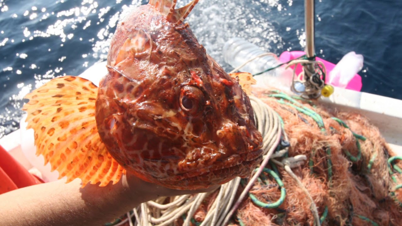 Zure Lumbarda