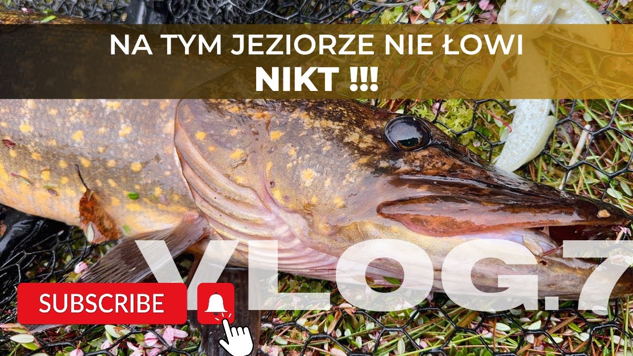 NIKT tu NIE ŁOWI - SZCZUPAKI na OffSet. | odc.7