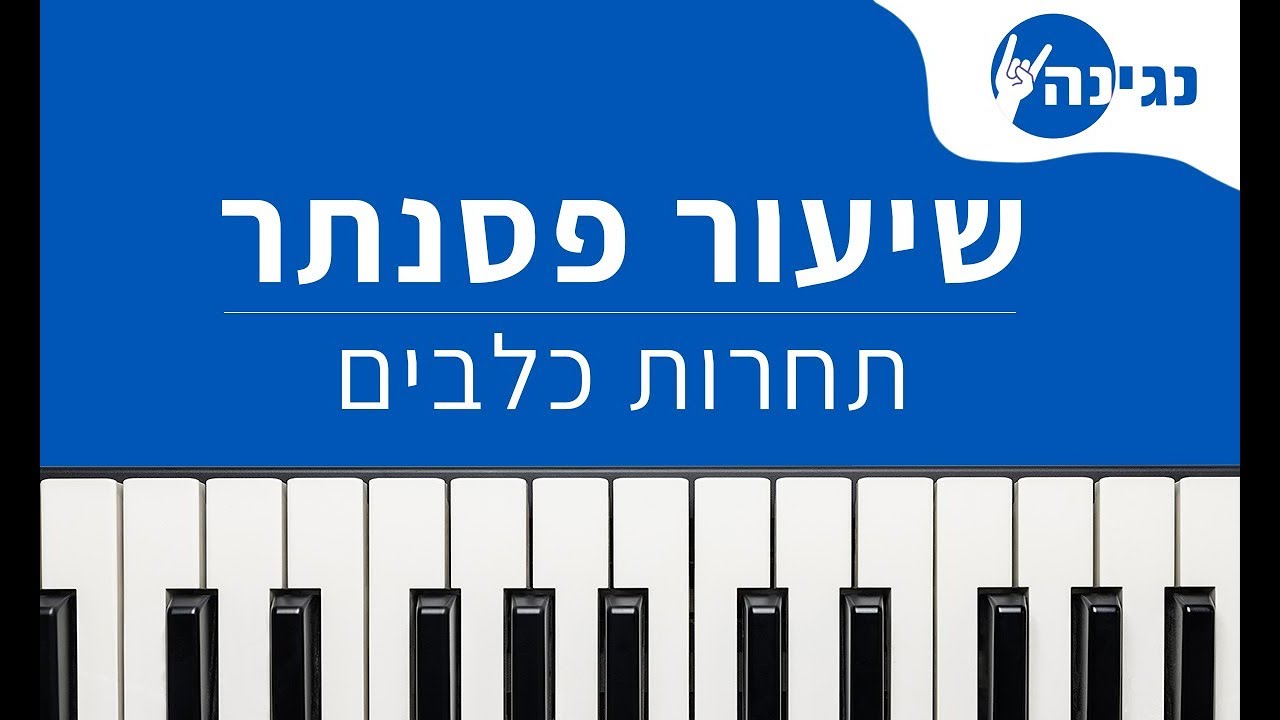 אביתר בנאי - תחרות כלבים | אקורדים ותווים לנגינה על פסנתר בקלות