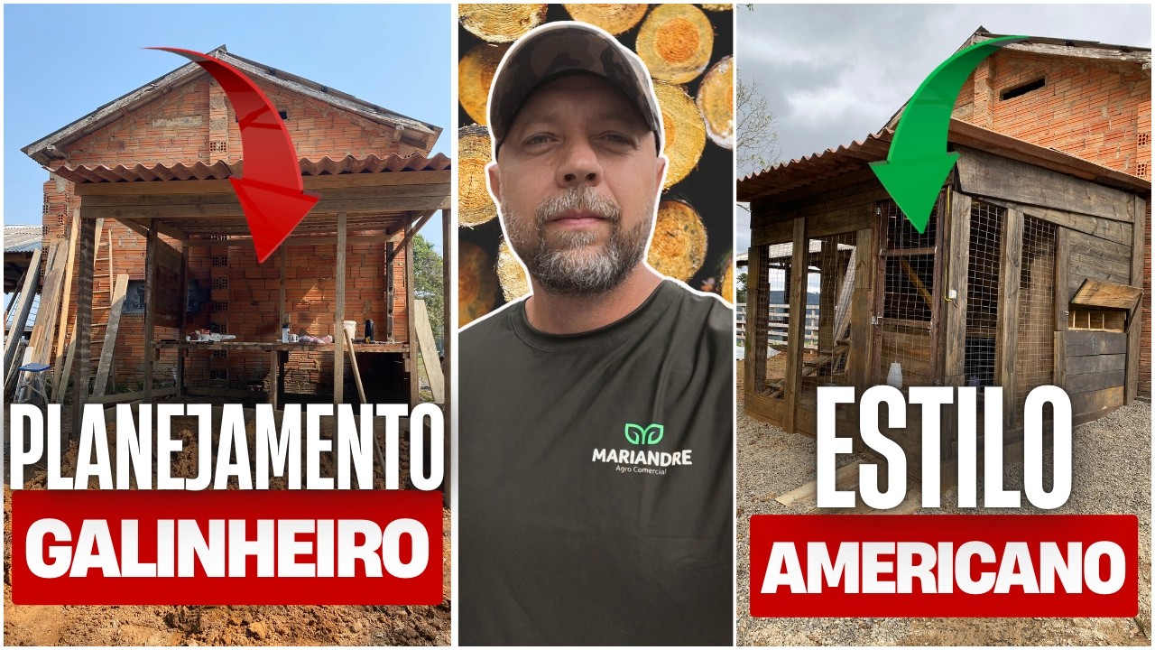 COMO PLANEJAMOS NOSSO GALINHEIRO | Galinhas Livres, Manejo e Novas Aves