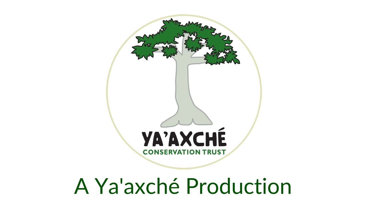 Ya’axché Summer Camp 2022