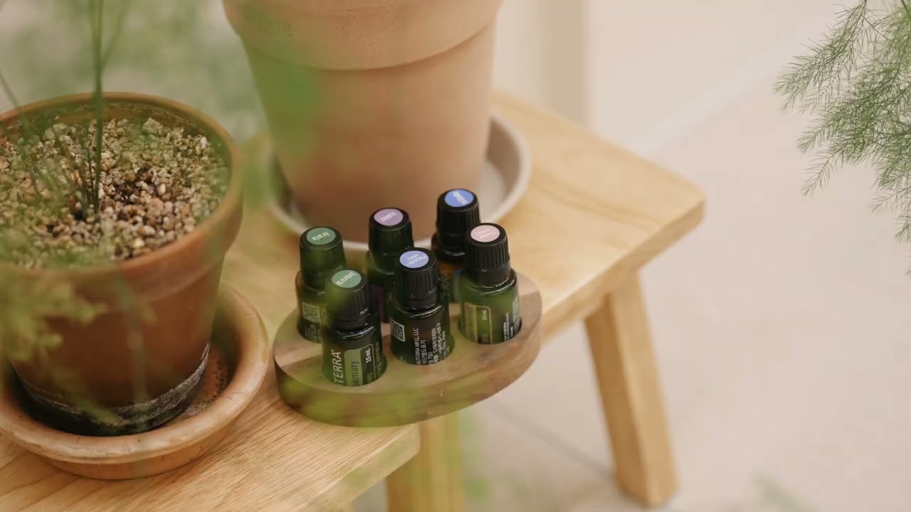 컬러드스파 대전테크노밸리점 20평대 인테리어 🕊️🫧🌿(#컬러드스파 #성공으로가는길 #염색방 #헤드스파 #창업브이로그 )