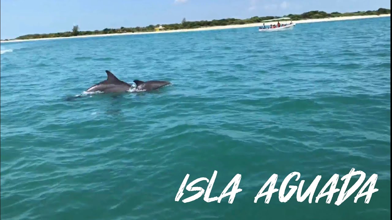 Conoces Isla Aguada? (Llena de delfines)
