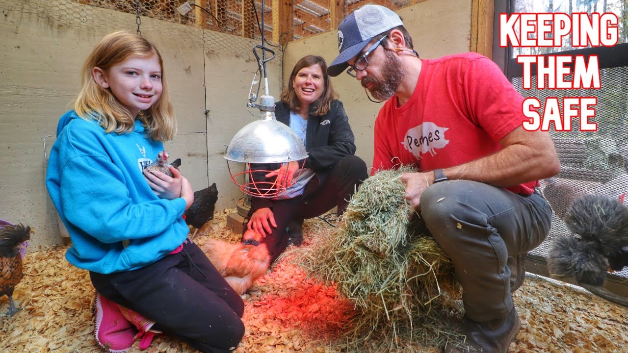 We CANNOT Let Them Freeze In This Artic BLAST Heading Our Way!!