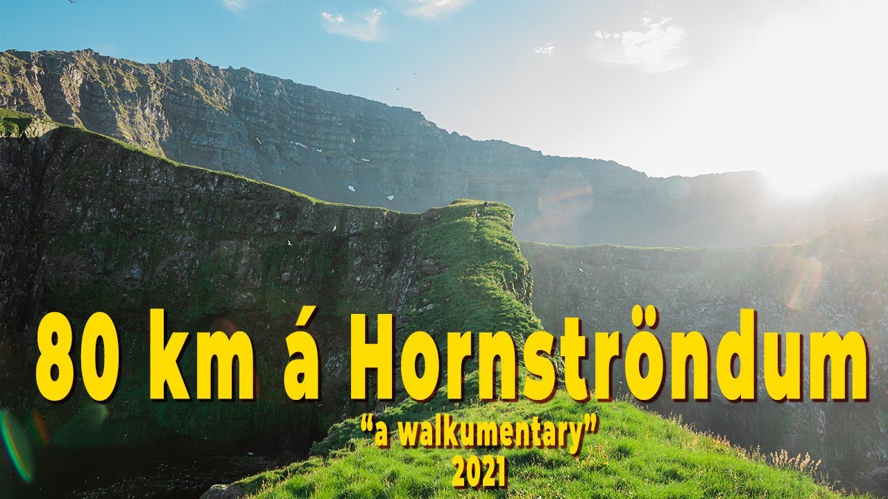 Hornstrandir sumari&eth; 2021  