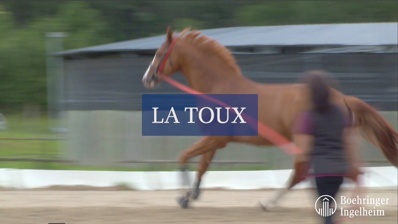 Minute Santé Boehringer - La Toux