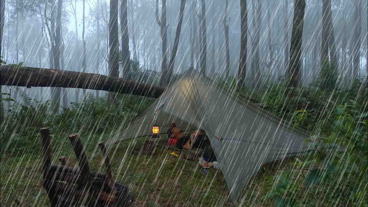 SOLO CAMPING IN HEAVY RAIN WITH THUNDERSTORM &bull; ENJOYING THE SOUND OF RAIN ON THE TARP SHELTER, ASMR