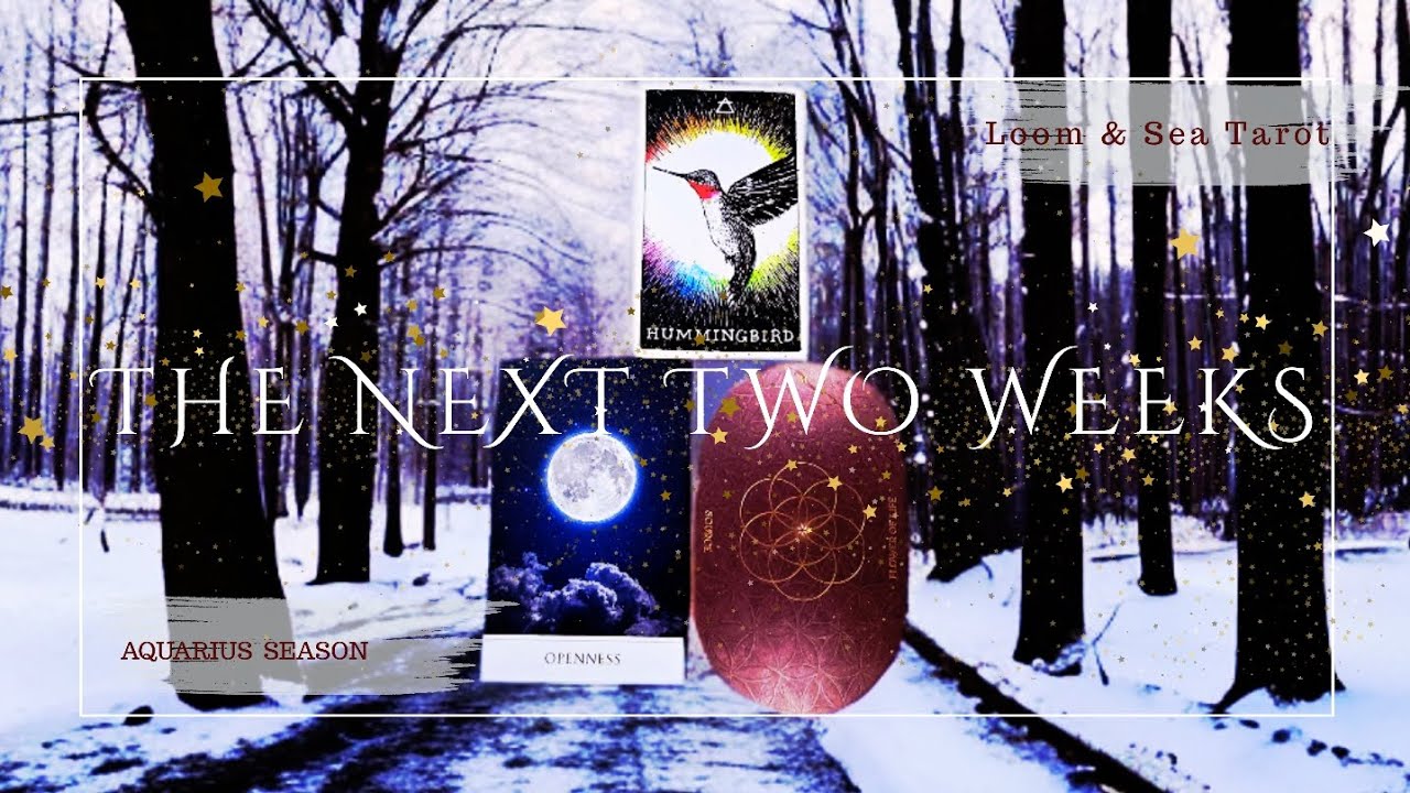 Divine Message: The Next Two Weeks: Keep Your Heart &  Mind Open ❤️🧠✨️