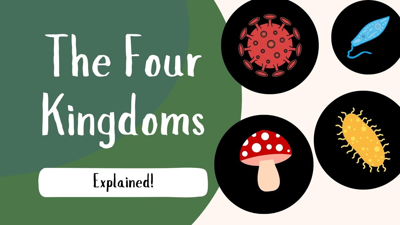 The Four Kingdoms Explained | Science Simplified