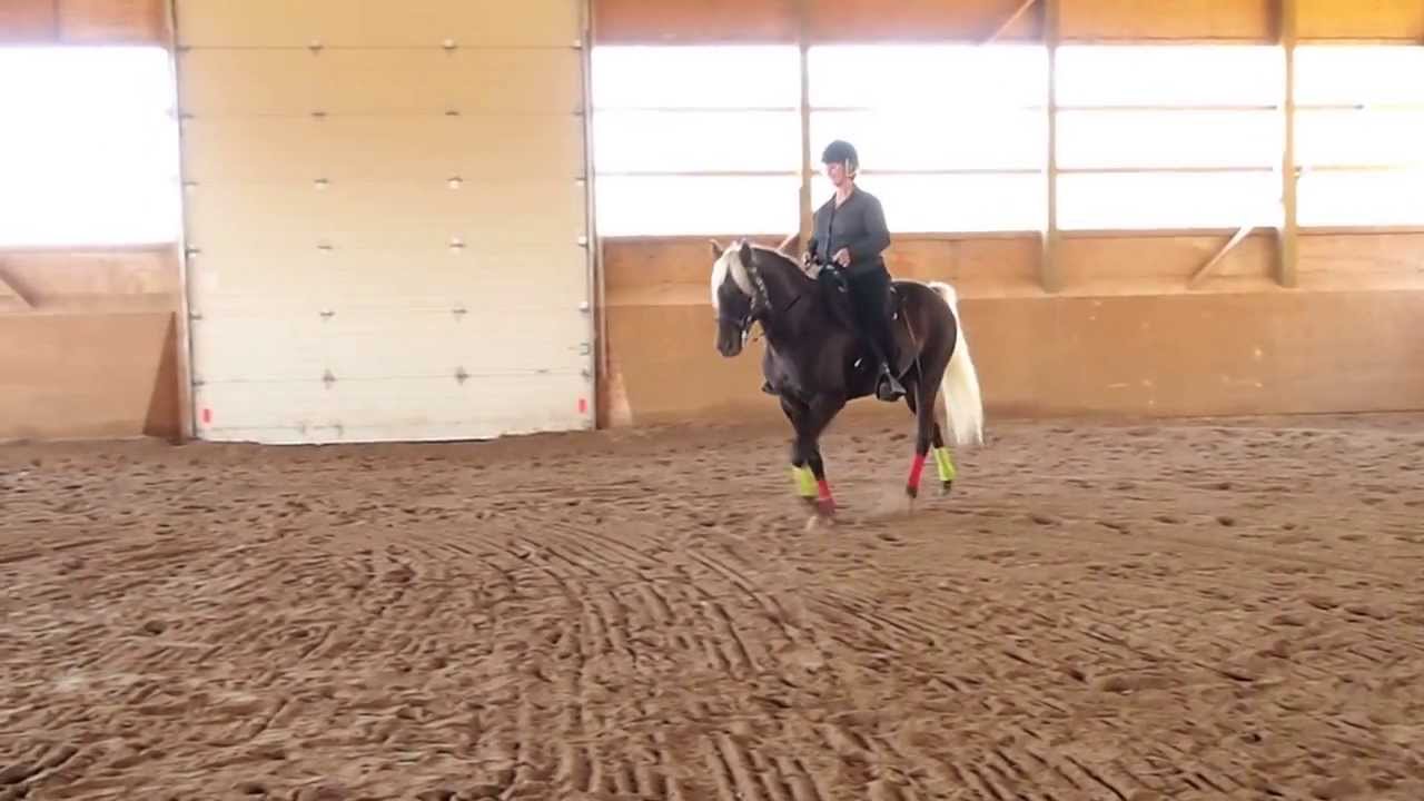 GHGO clinic - demos day 1