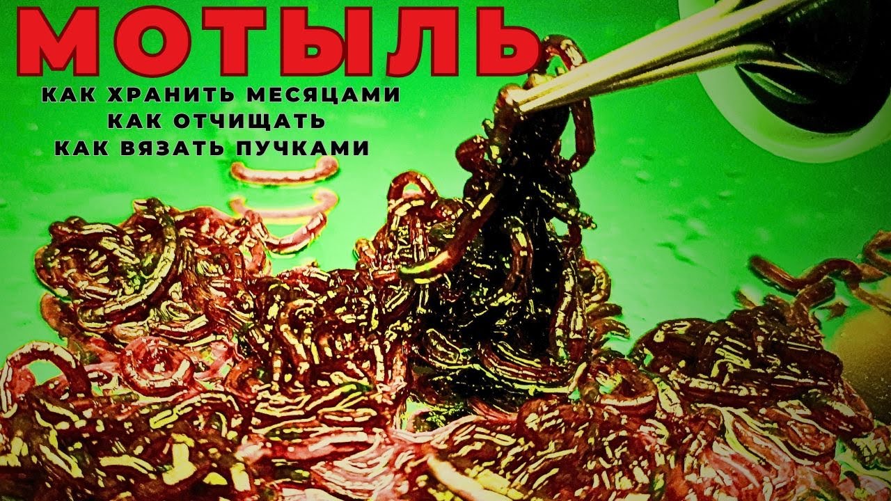 Хитрые секреты МОТЫЛЬ как хранить месяцами и способы крепления на крючок пучком