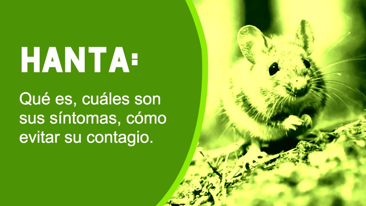 Virus Hanta