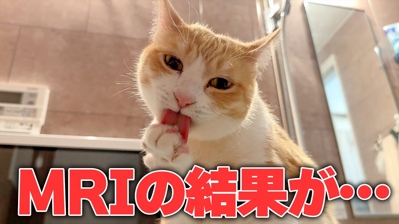 MRIの結果が返ってきました。