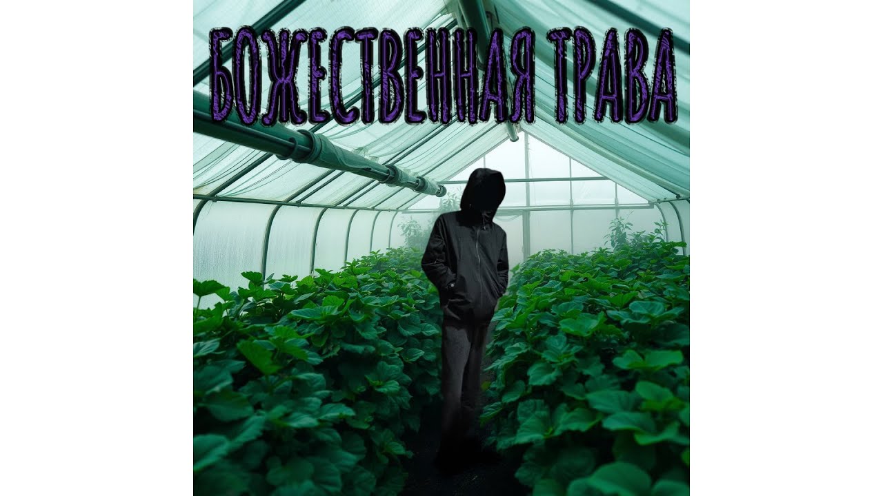 Божественная трава [Cloud Rap] | 2025