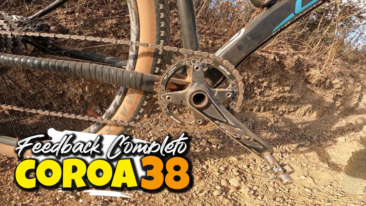 TUDO QUE VOC&Ecirc; PRECISA SABER SOBRE COROA 38