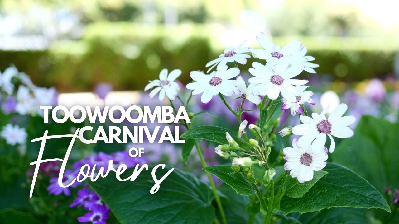 75th Carnival of Flowers 2024 | Toowoomba Australia