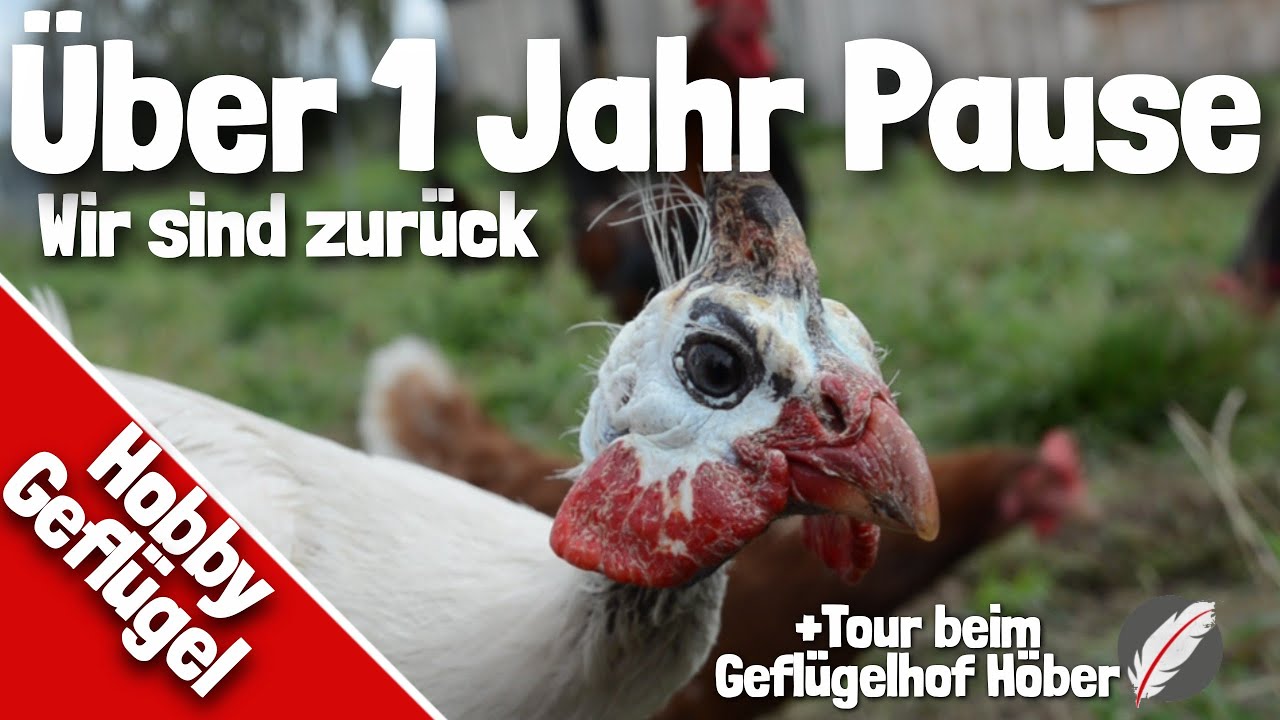 Nach einem Jahr Pause sind wir wieder da ! + Tour beim Geflügelhof Höber